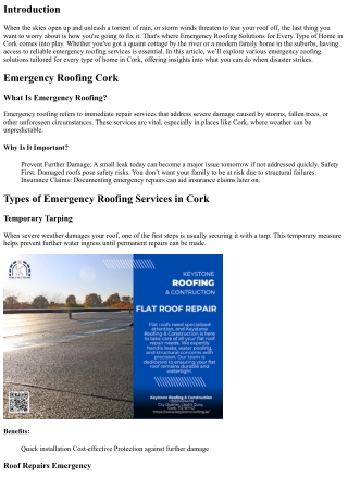 Emergency Roofing Solutions for Every Type of Home in Cork