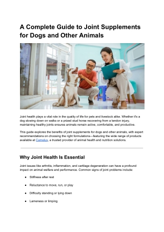 A Complete Guide to Joint Supplements for Dogs and Other Animals