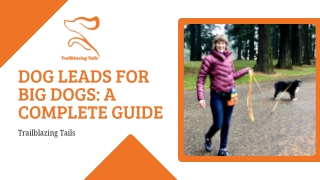 Dog Leads for Big Dogs
