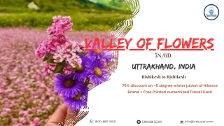 Valley of Flowers Trek: A Himalayan Paradise in Bloom