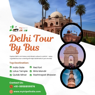 Delhi Tour By Bus – Explore the Capital's Icons in One Day