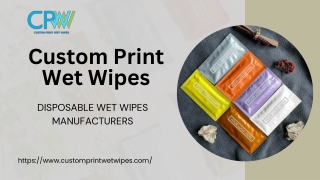 Disposable Wet Wipes Manufacturers (1)