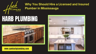 Why You Should Hire a Licensed and Insured Plumber in Mississauga