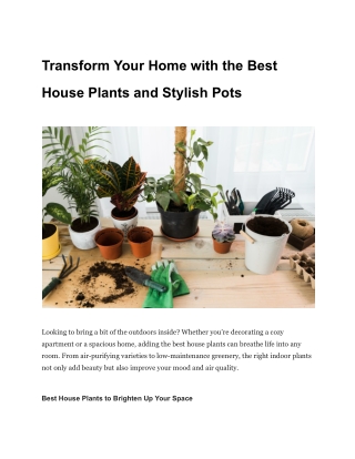 Transform Your Home with the Best House Plants and Stylish Pots