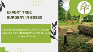 Tree Surgeon in Essex