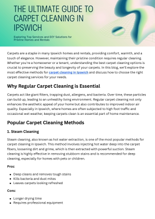 The Best Carpet Cleaning Options for Ipswich Homes & Rentals