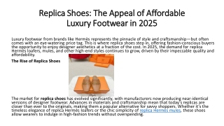 Replica Shoes: The Appeal of Affordable Luxury Footwear in 2025