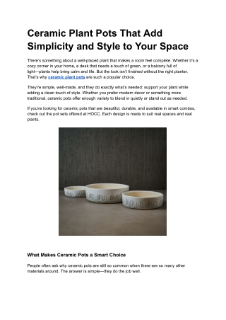 Ceramic Plant Pots That Add Simplicity and Style to Your Space