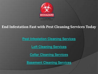 End Infestation Fast with Pest Cleaning Services Today