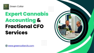 Green Collar: Smart Accounting for Modern Businesses