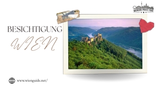 Unveil Vienna's Beauty Personalized City Tours Available