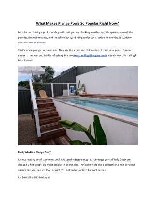 What Makes Plunge Pools So Popular Right Now?