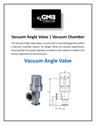 Vacuum Angle Valve