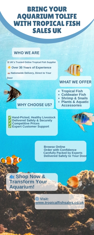 Bring Your Aquarium to Life with Tropical Fish Sales UK!