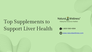 Top Supplements to Support Liver Health - naturalwellness.com