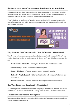 Professional WooCommerce Services in Ahmedabad