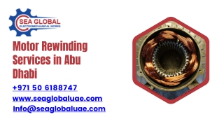 Motor Rewinding Services in Abu Dhabi