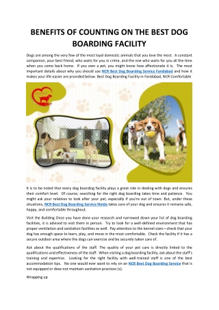 BENEFITS OF COUNTING ON THE BEST DOG BOARDING FACILITY