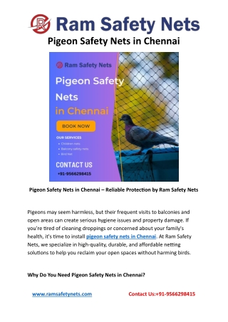 Pigeon Safety Nets in Chennai