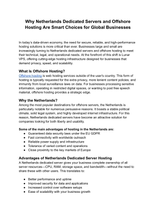 Why Netherlands Dedicated Servers and Offshore Hosting Are Smart Choices for Global Businesses