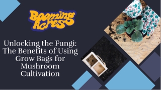 Unlocking the Fungi The Benefits of Using Grow Bags for Mushroom Cultivation
