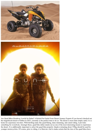Experience Quad Cycling In Dubai What To Anticipate, Safety Ideas And Timings