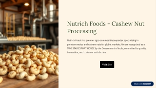 Nutrich Foods - Cashew Nut Processing Experts | Quality & Innovation