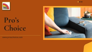 Top Carpet Stain Removers for Professional Results Discover Pro’s Choice Solutions