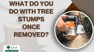 What do you do with tree stumps once removed?