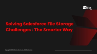 Solving Salesforce File Storage Challenges the Smarter Way