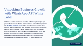 Launch Your Platform Using WhatsApp API White Label