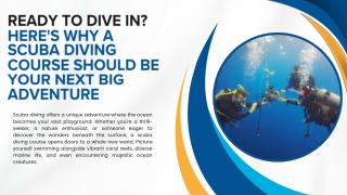 Ready to Dive In Here's Why a Scuba Diving Course Should Be Your Next Big Adventure