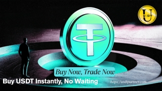 Built for Beginners & Pros Alike