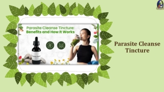 Parasite Cleanse Tincture: Benefits and How It Works