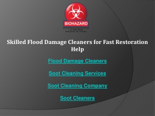 Skilled Flood Damage Cleaners for Fast Restoration Help