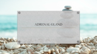 ADRENAL GLAND