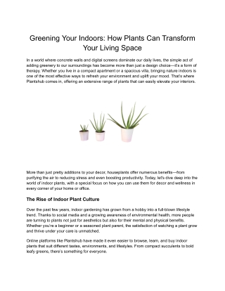 Shop Hoya Plant Online | Lush, Waxy Foliage