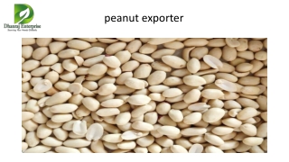 peanut exporter