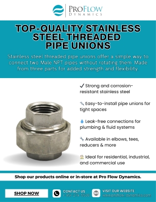Top-Quality Stainless steel threaded pipe unions