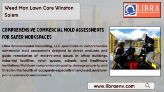 Comprehensive Commercial Mold Assessments for Safer Workspaces