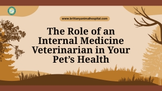 When to See an Internal Medicine Veterinarian