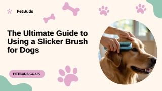 The Ultimate Guide to Using a Slicker Brush for Dogs