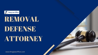 Trusted Legal Support from a Removal Defense Attorney