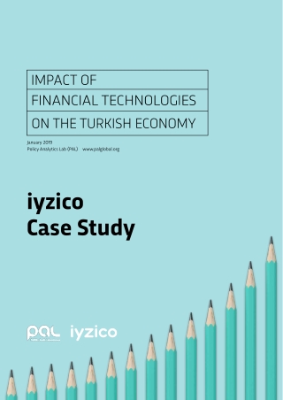 Impact of Financial Technologies on Turkish Economy - iyzico Case Study