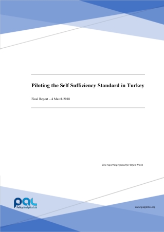 Piloting the Self Sufficiency Standard in Turkey