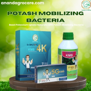 Unlock the Power of Potassium with KMB – Potash Mobilizing Bacteria Fertilizer