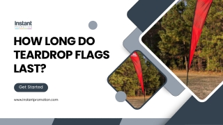 Durability of Teardrop Flags What You Need to Know