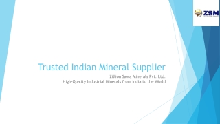 Trusted Indian Mineral Supplier | Zillion Sawa Minerals Pvt. Ltd