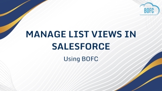 Manage List Views in Salesforce Using BOFC