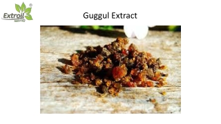 Guggul Extract
